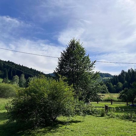 Drewniany Domek Bb Nad Rzeka Powrożnik Екстериор снимка